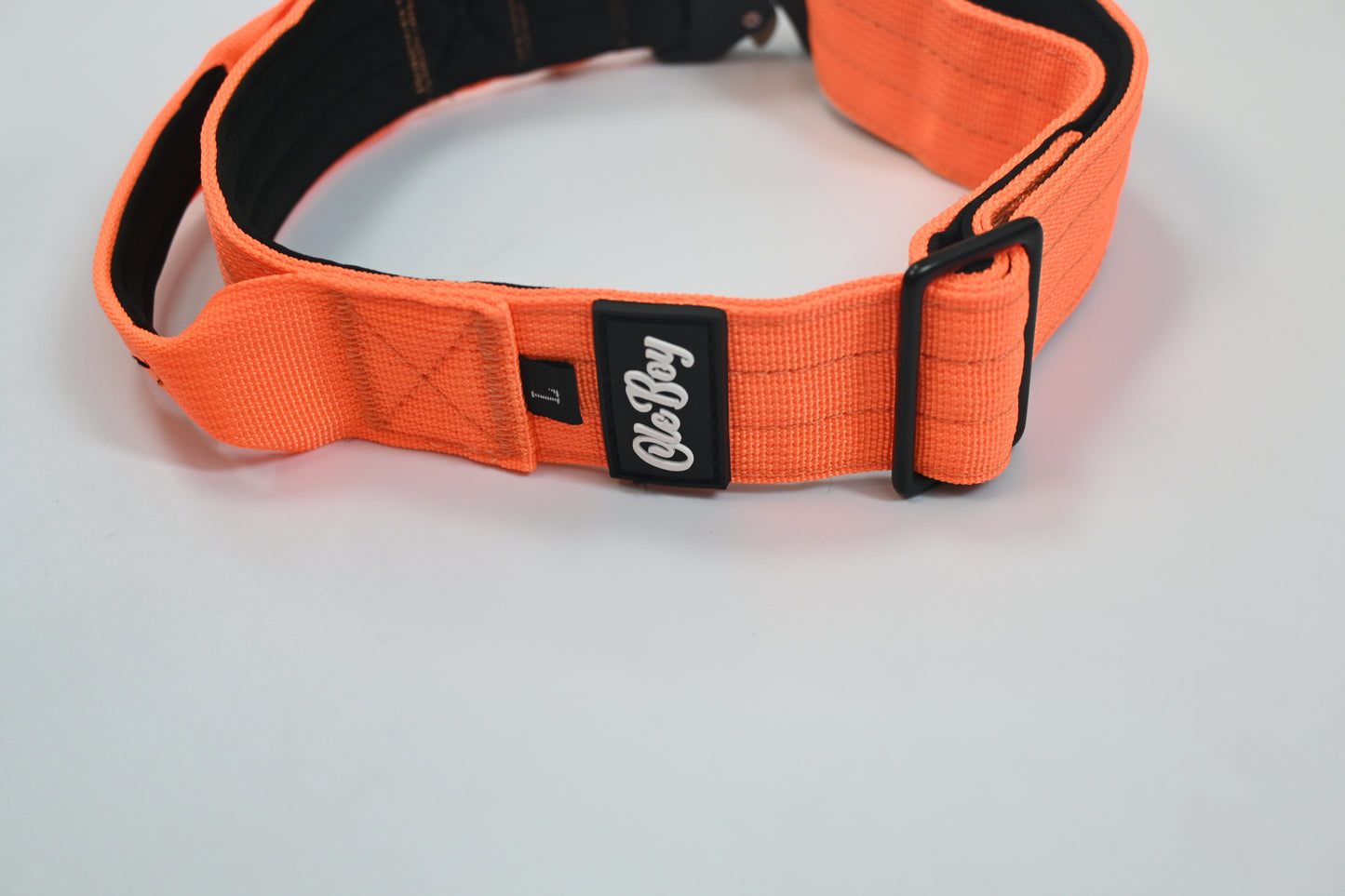Ole Boy Adjustable Length Quick Release Dog Collar/Leash Set