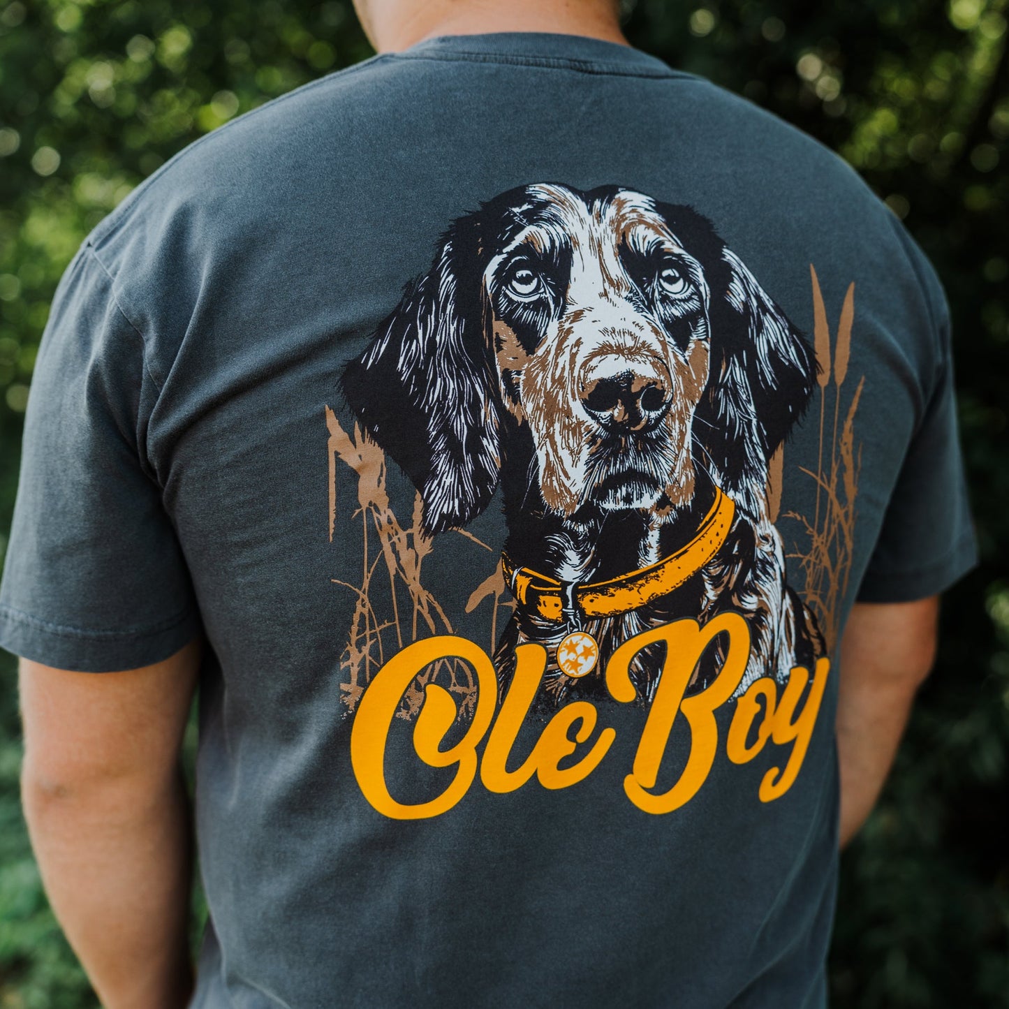 Person wearing a t-shirt with a blue tick coonhound dog illustration and 'Ole Boy' text, outdoors.