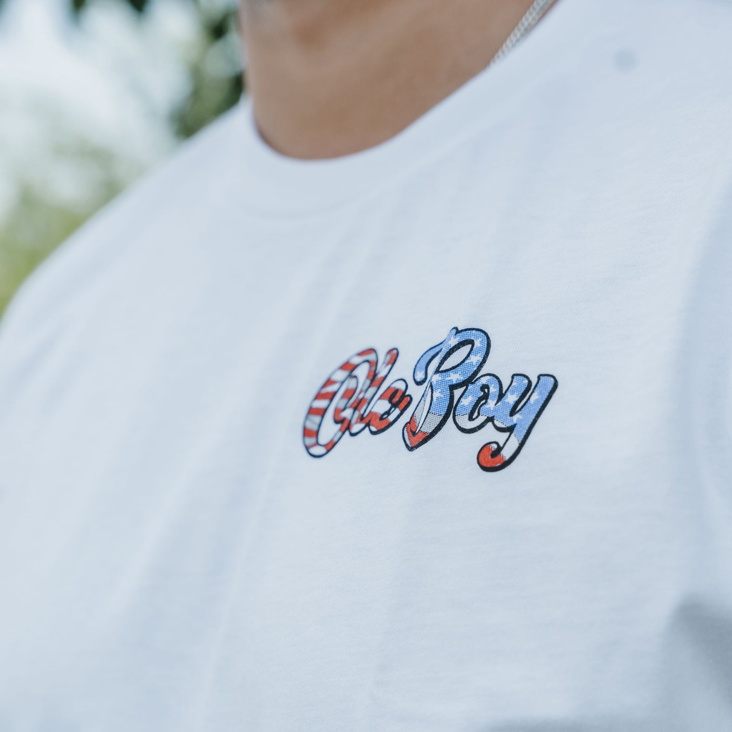 OLE BOY Freedom Country Roads T-Shirt
