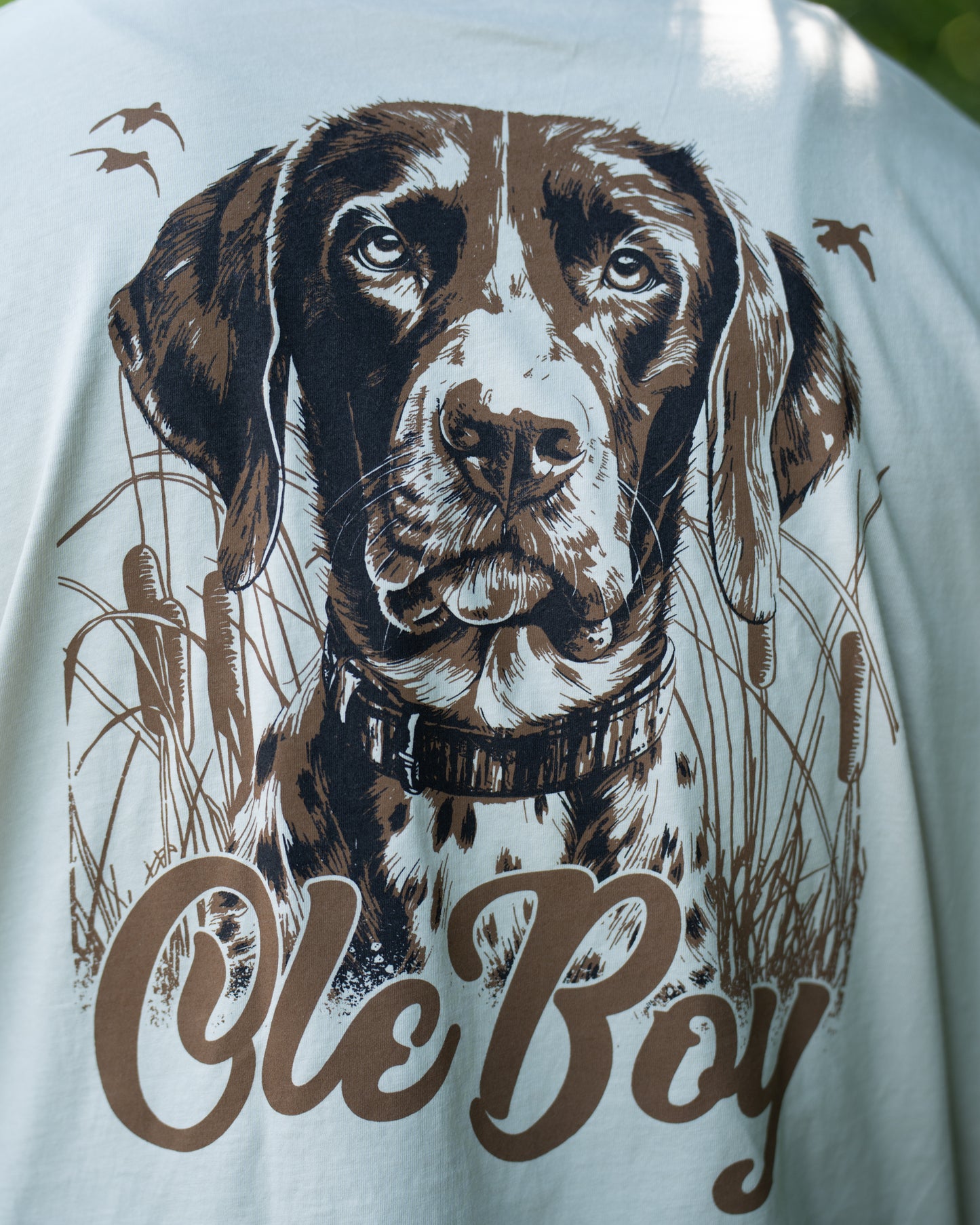 T-shirt with a brown German Shorthaired Pointer dog illustration and 'Ole Boy' text on a white background