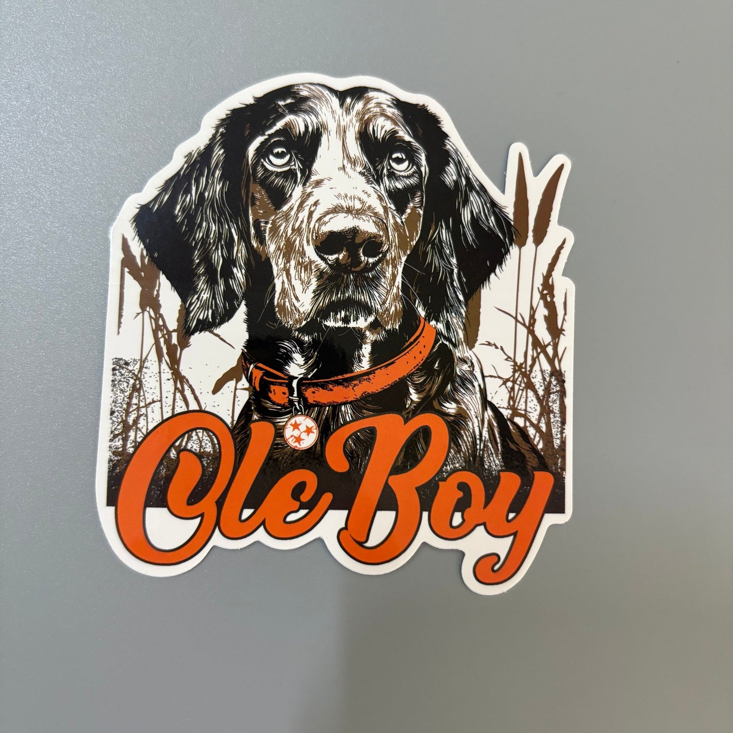 OLE BOY Outdoor Sticker Pack - 10 Pack