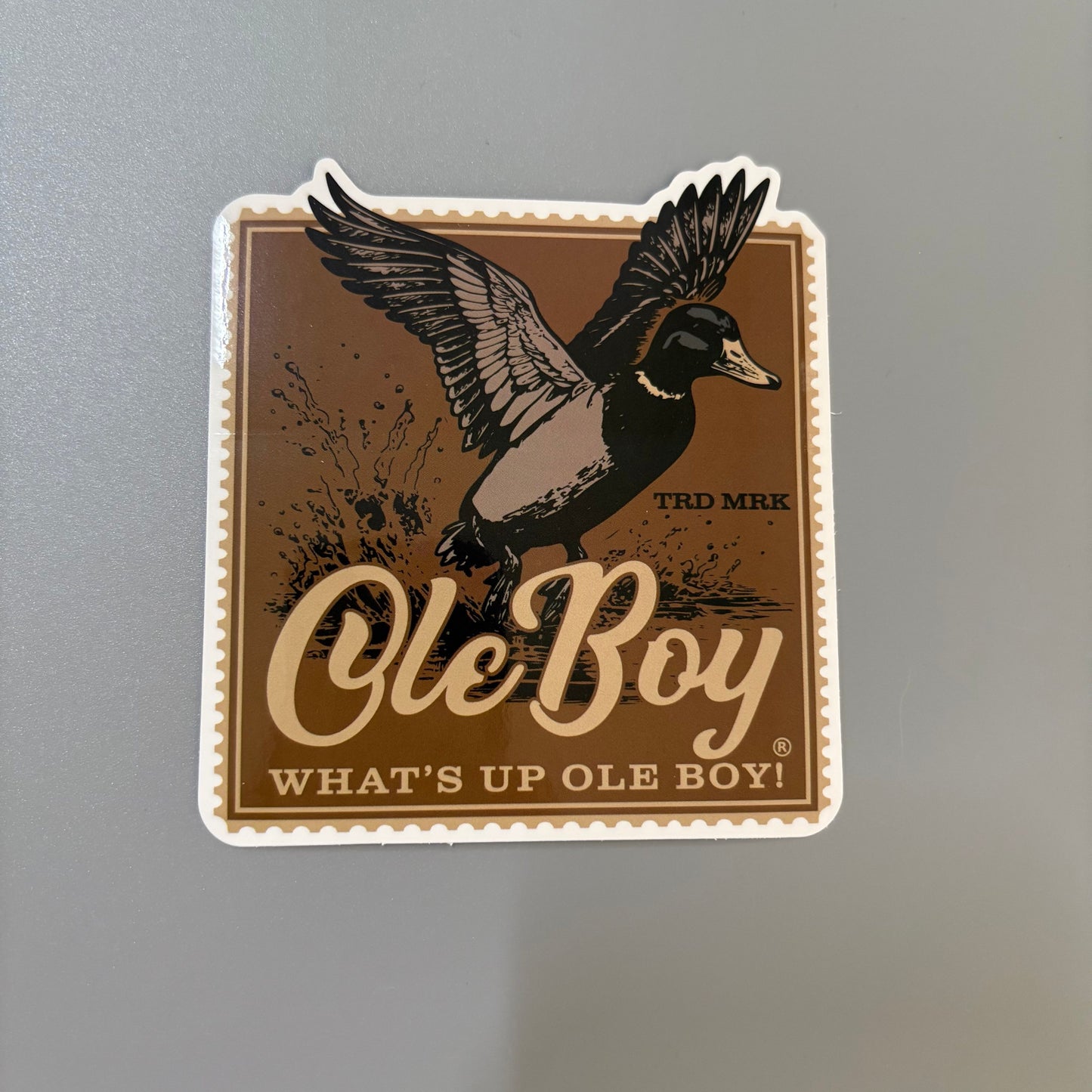OLE BOY Outdoor Sticker Pack - 10 Pack