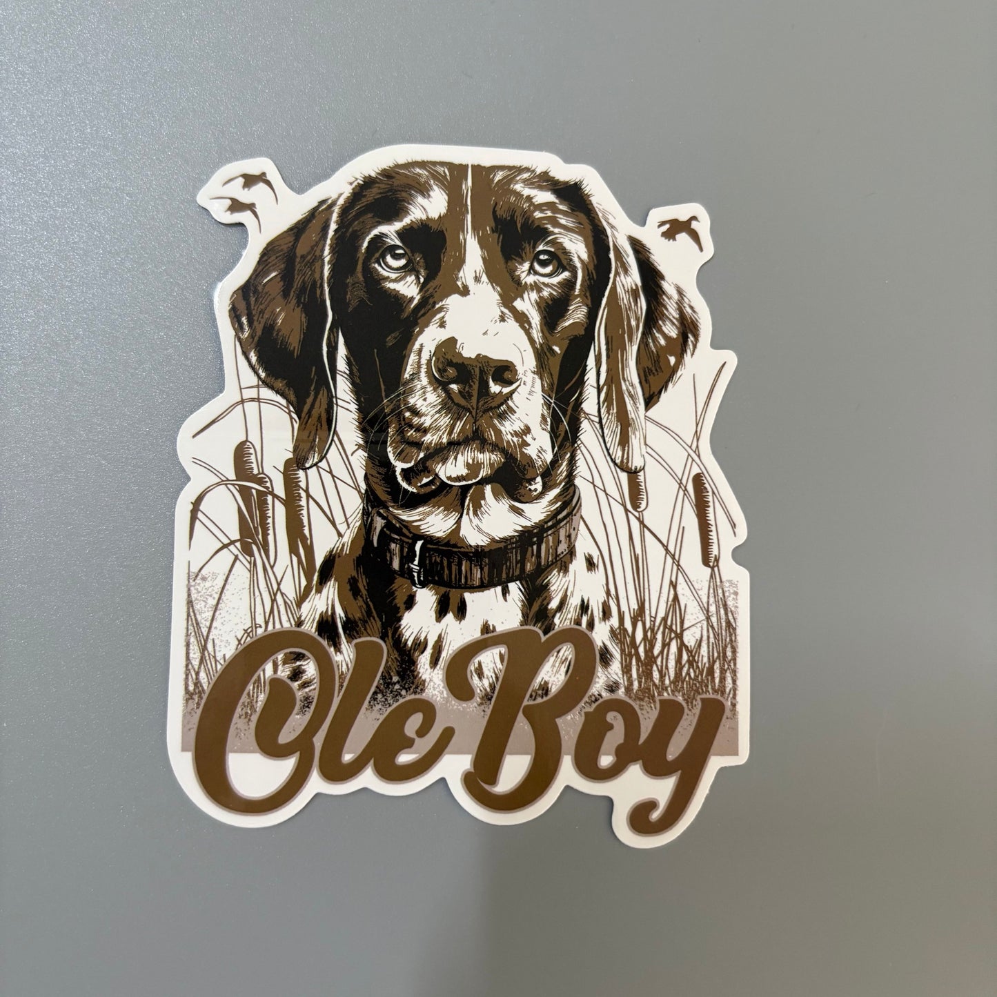 OLE BOY Outdoor Sticker Pack - 10 Pack