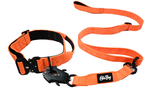 Ole Boy Adjustable Length Quick Release Dog Collar/Leash Set
