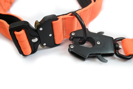 Ole Boy Adjustable Length Quick Release Dog Collar/Leash Set