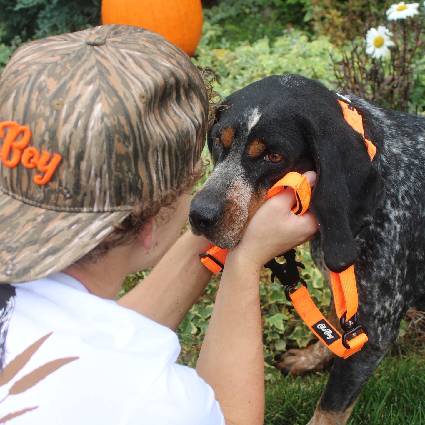 Ole Boy Adjustable Length Quick Release Dog Collar/Leash Set