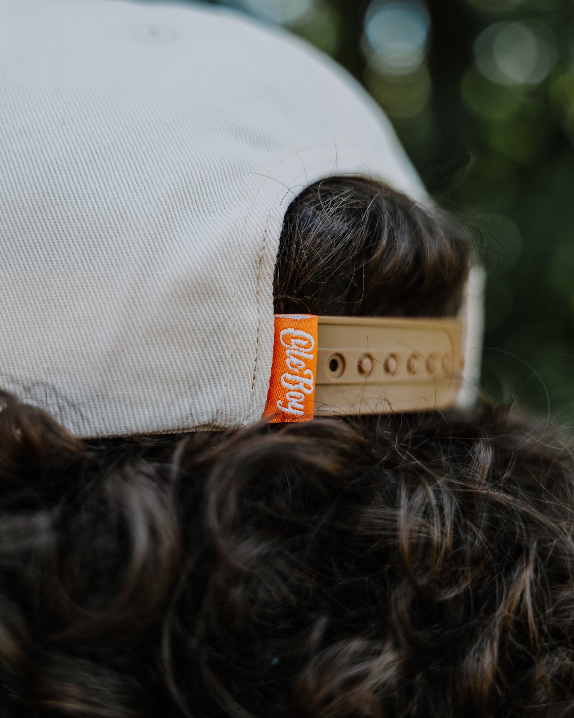 Dog wearing a cap with a visible brand tag against a blurred natural background