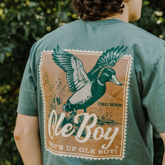 Person wearing a green t-shirt with a duck graphic and 'Ole Boy' text.