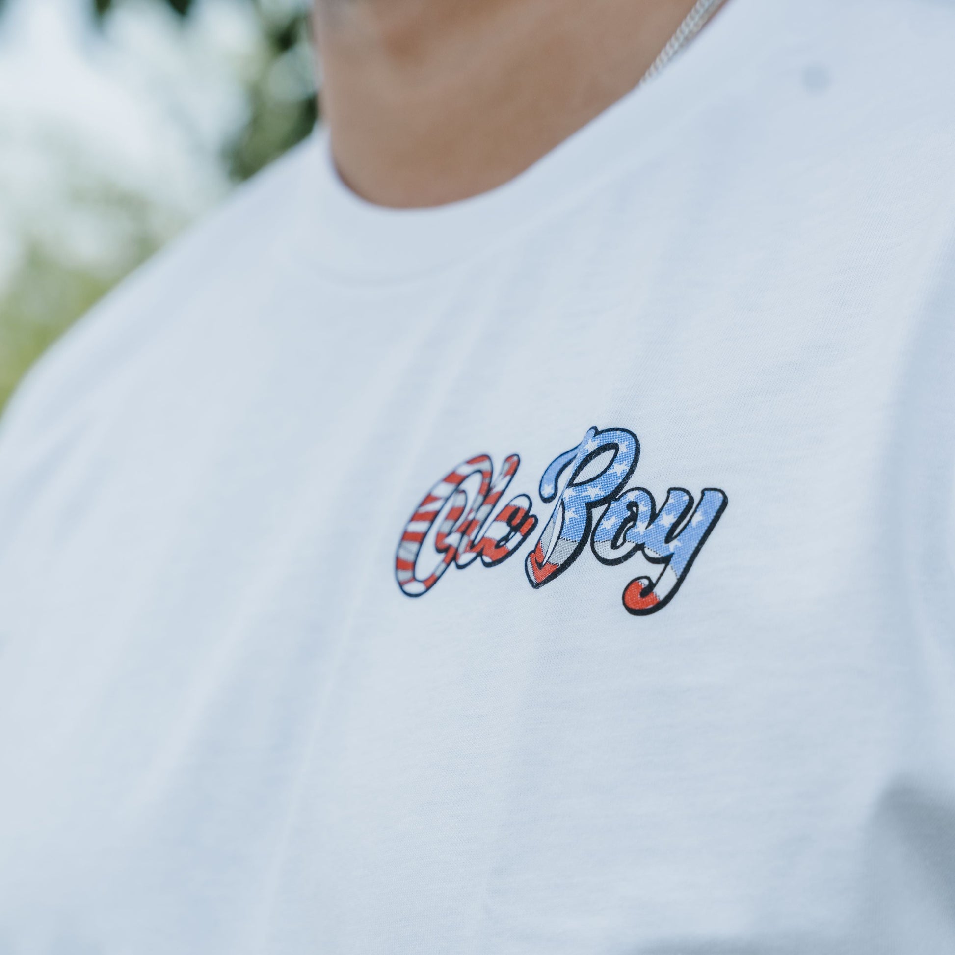 OLE BOY Freedom Country Roads T-Shirt