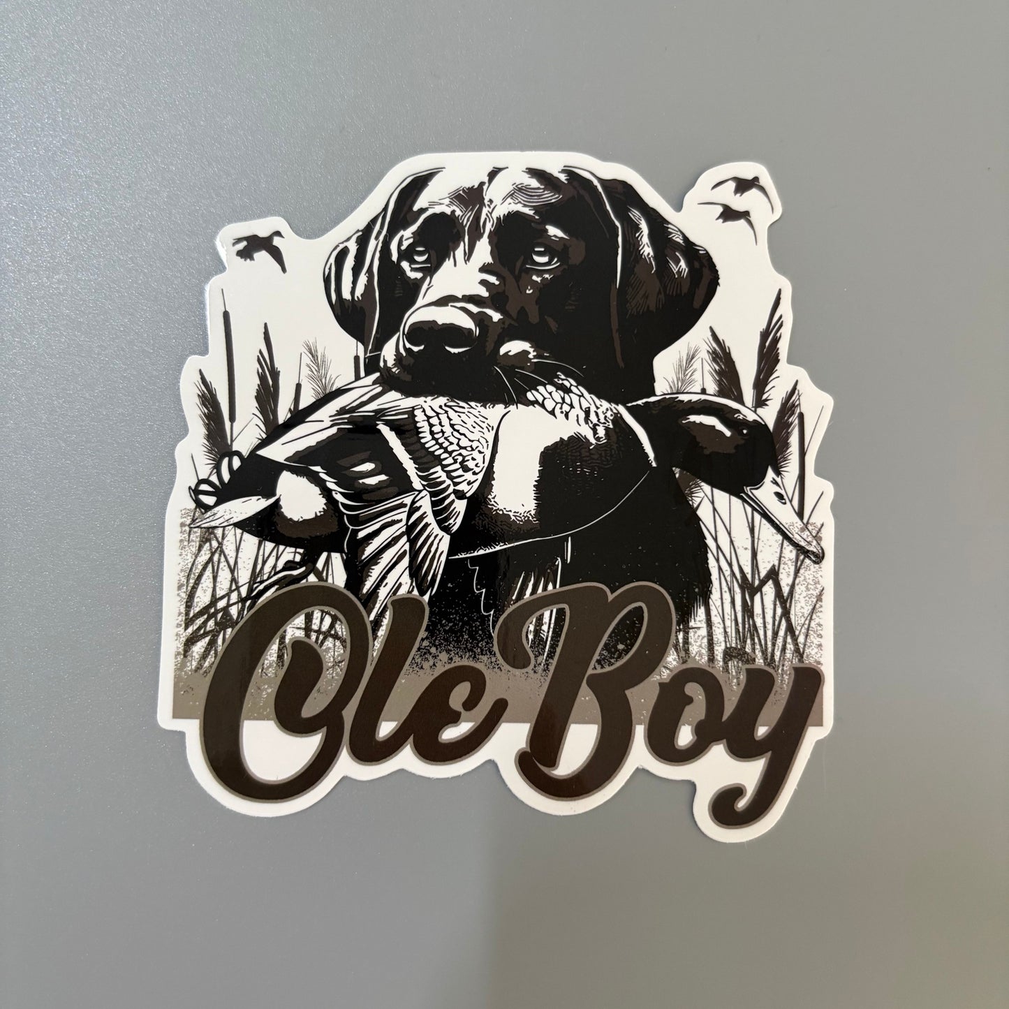 OLE BOY Outdoor Sticker Pack - 10 Pack