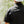OLE BOY Performance Button Up Fishing Shirt - Black