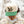 OLE BOY Drake Mallard Hat