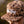 OLE BOY Duck Camo Ole Boy Logo Rope Grandpa Hat